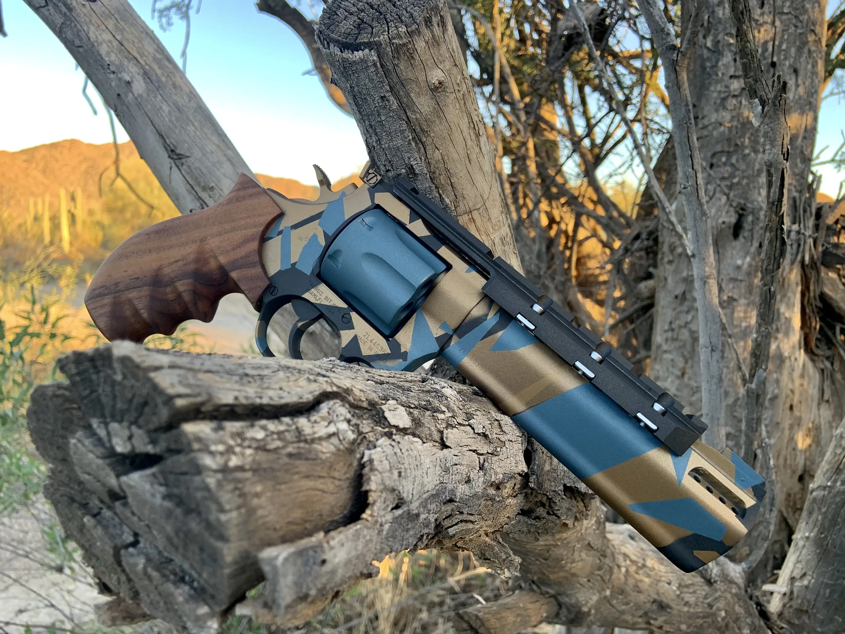 Carnimore custom build featuring professional Duracoat application and expert craftsmanship in Phoenix, Arizona